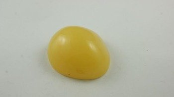 bursztyn kolumbijski szlifowany kaboszon duży 42,5 g