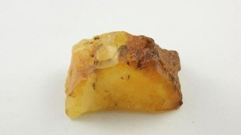 bursztyn bałtycki żółty naturalny muzealny surowy 77,1 g