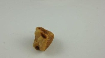 bursztyn bałtycki nieregularny koniak półprodukt