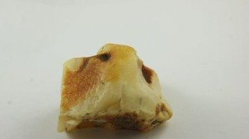 bursztyn bałtycki żółty naturalny muzealny żółty 67,8 g