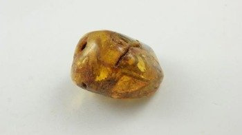 kula inkluzje bursztyn bałtycki jasny koniak 30,5 g
