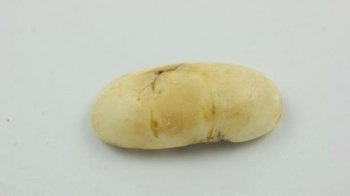 OWALNY MARMUROWO BIAŁY UNIKAT KABOSZON BURSZTYN