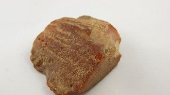 bursztyn bałtycki niepopękany muzealny surowy 102,0 g