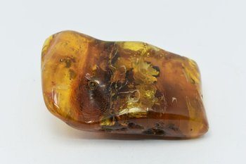 bursztyn bałtycki kolekcjonerski naturalny 63 g