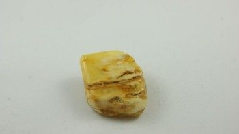bursztyn bałtycki królewski mozika polerowany 14,6 g