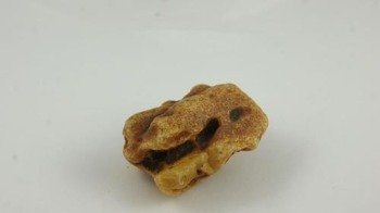 bursztyn bałtycki nieszlifowany koniak surowiec