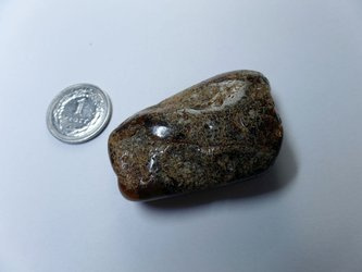 bryłka bursztynu bałtyckiego naturalny bursztyn