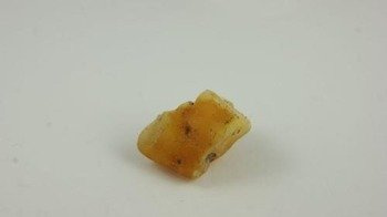 bursztyn bałtycki koniakowy biały niemodyfikowany