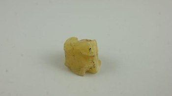 bursztyn bałtycki żółty surowy niemodyfikowany