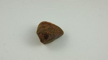 bursztyn bałtycki koniak żółty niepolerowany