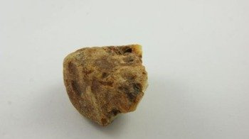 bursztyn bałtycki cytrynowy niepolerowany natura 34,6 g