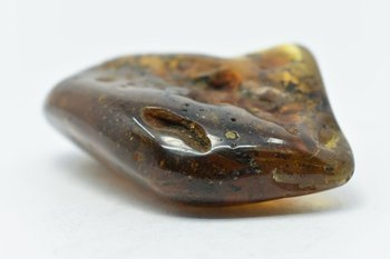 bursztyn bałtycki kolekcjonerski naturalny 33 g